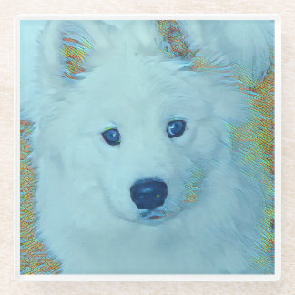 Posavasos De Vidrio Joven Samoyed en vidrio - posavasos
