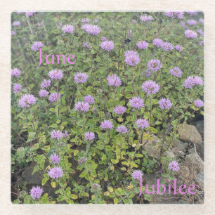 Posavasos De Vidrio June Jubilee Glass Coaster