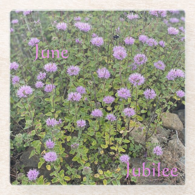 Posavasos De Vidrio June Jubilee Glass Coaster (Anverso)