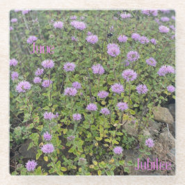 Posavasos De Vidrio June Jubilee Glass Coaster