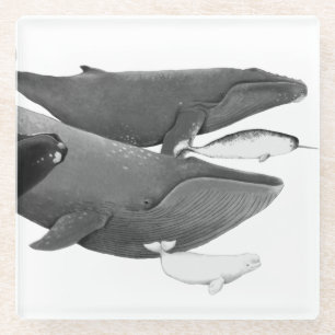 Posavasos De Vidrio La Ballena Ilustracion De Ballenas Blanco