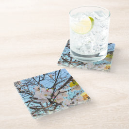 Posavasos De Vidrio La escoria del cerezo