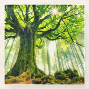 Posavasos De Vidrio La haya de Ponthus