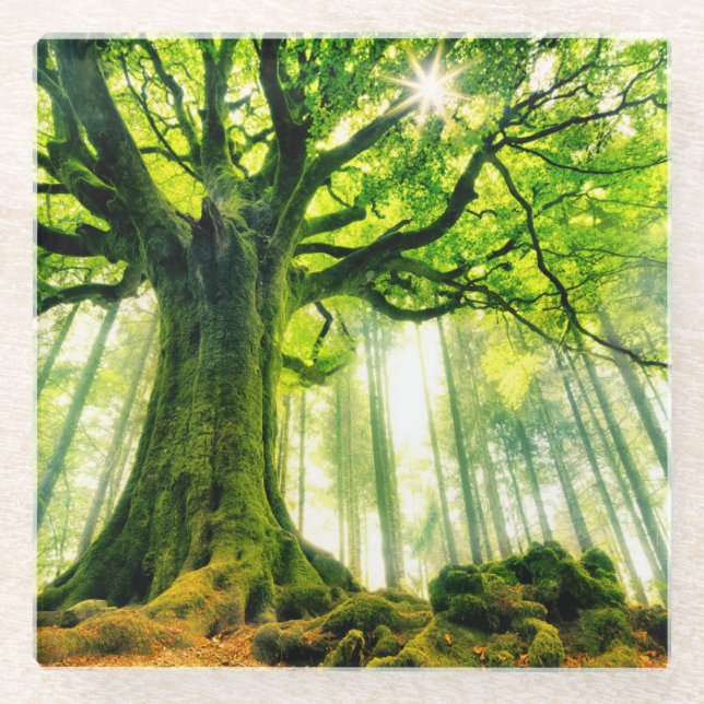 Posavasos De Vidrio La haya de Ponthus (Anverso)