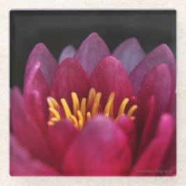 Posavasos De Vidrio La Lirio del Agua