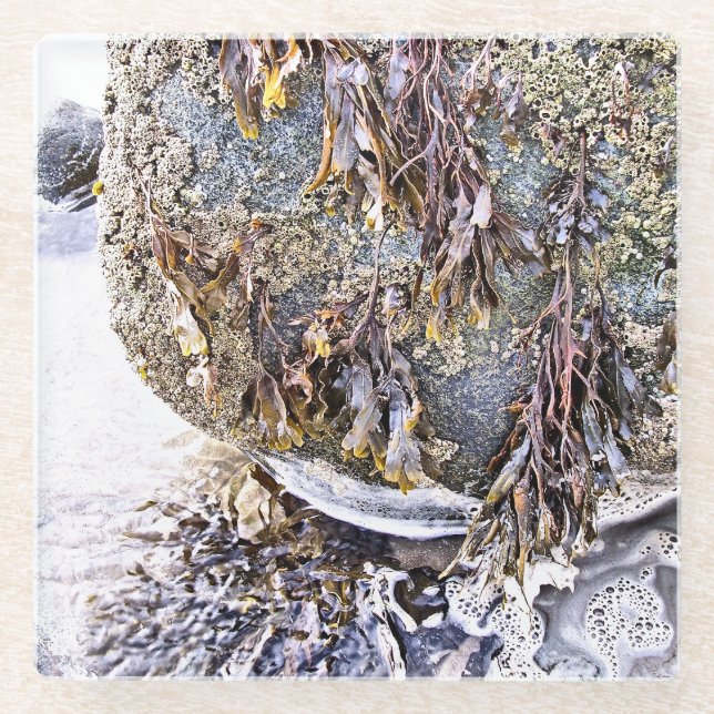 POSAVASOS DE VIDRIO LA PLAYA (Anverso)