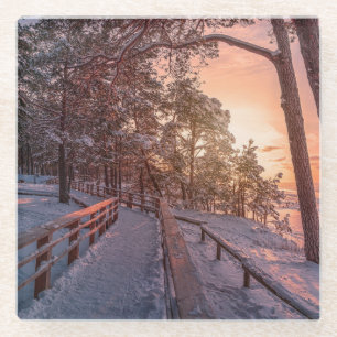 Posavasos De Vidrio La puesta de sol del invierno en un bosque de pino