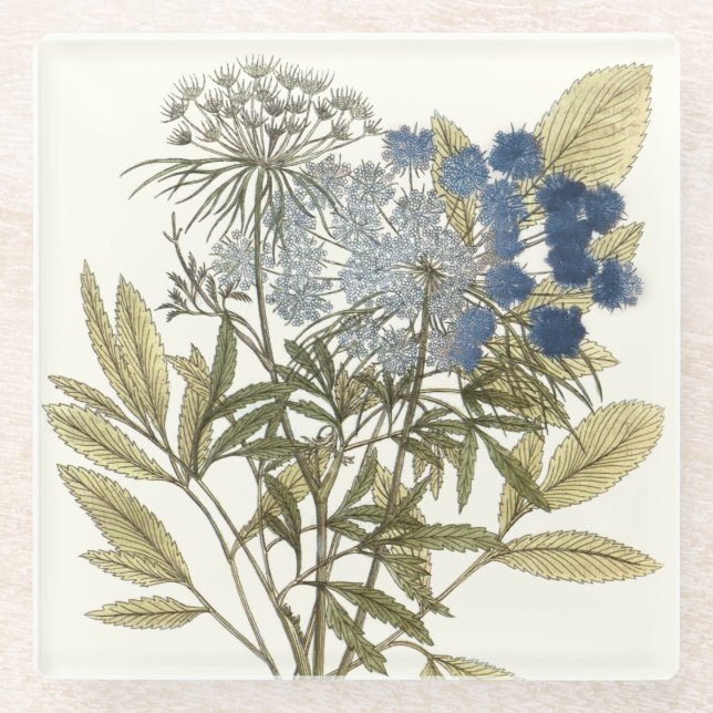 Posavasos De Vidrio Lacy Leaves - Flores y vegetación (Anverso)