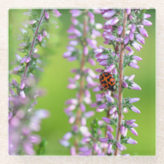 Posavasos De Vidrio Ladybird auf lila Blume -