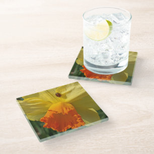 Posavasos De Vidrio Ladybug en amarillo Daffodil Floral