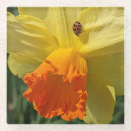 Posavasos De Vidrio Ladybug en amarillo Daffodil Floral