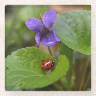 Posavasos De Vidrio Ladybug sobre las dulces flores violetas