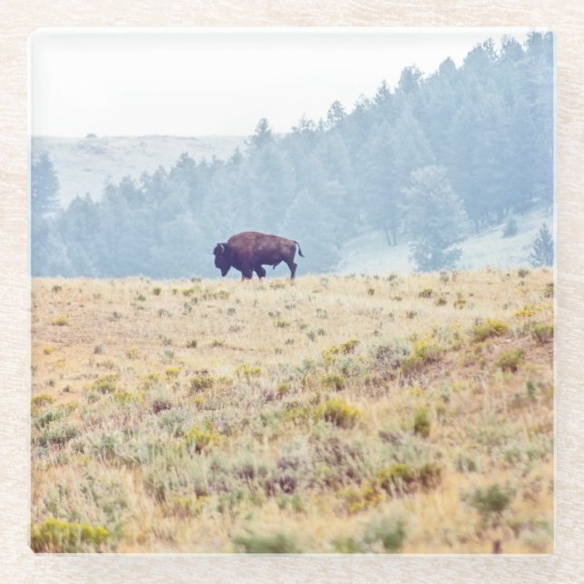 Posavasos De Vidrio Lamar (Anverso)