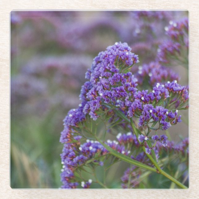 Posavasos De Vidrio Lavanda junto al océano (Anverso)