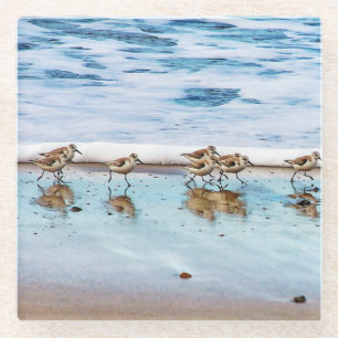 Posavasos De Vidrio Lavanderas que corren a lo largo de la playa