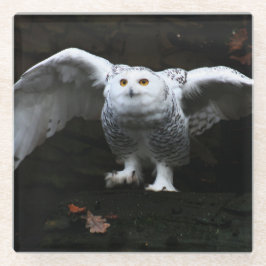 Posavasos De Vidrio Lechuza nevada con coastercnm abierta