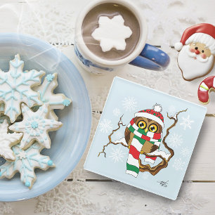 Posavasos De Vidrio Lechuza Snowflake navidades