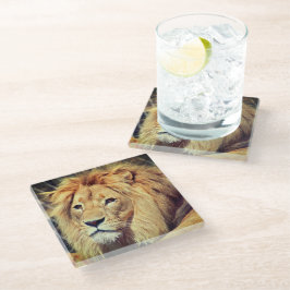 Posavasos De Vidrio León