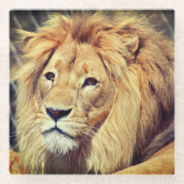 Posavasos De Vidrio León