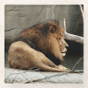 Posavasos De Vidrio León