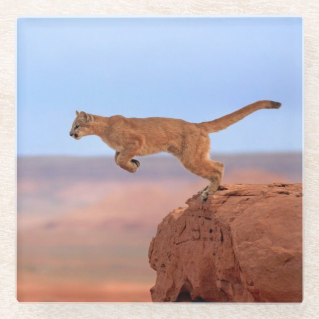 Posavasos De Vidrio León de montaña (Anverso)