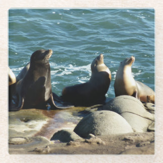 Posavasos De Vidrio Leones del mar de San Diego