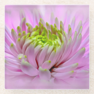 Posavasos De Vidrio Lilac Dahlia - Pascua de vidrio