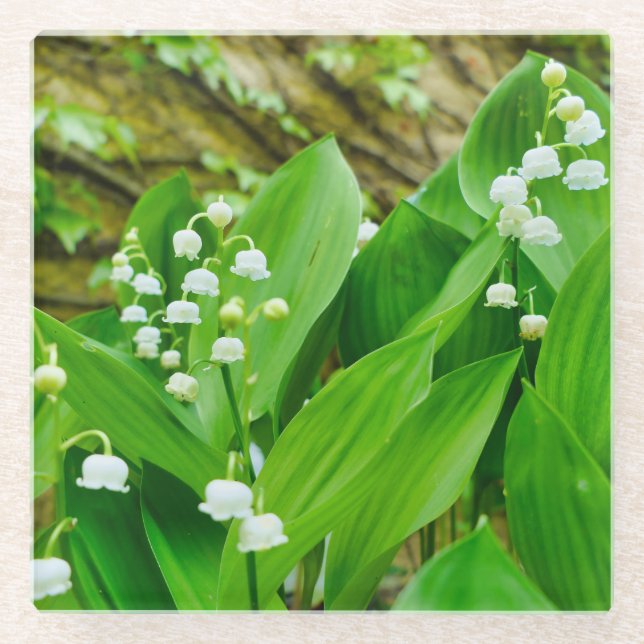 Posavasos De Vidrio Lily del Valle (Anverso)