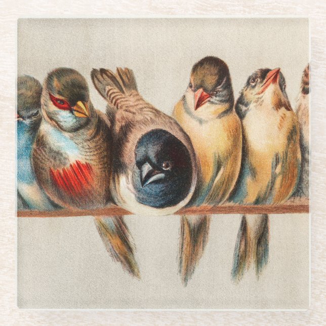 Posavasos De Vidrio Línea de aves y palomas (Anverso)