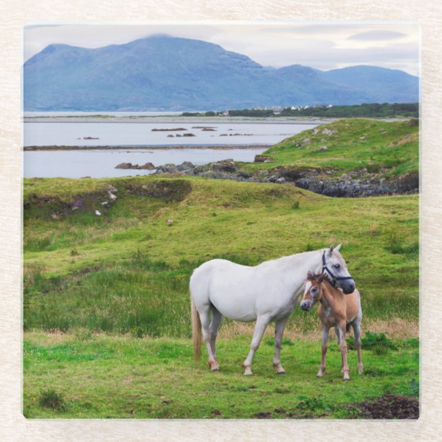 Posavasos De Vidrio Los caballos de Connemara el | Galway, Irlanda (Anverso)