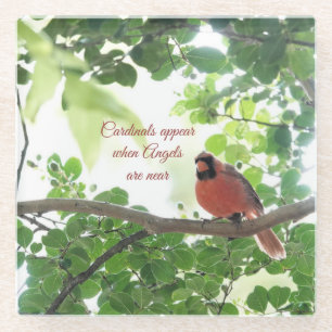 Posavasos De Vidrio Los cardenales aparecen cuando los ángeles están c