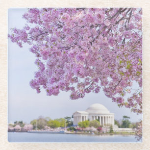 Posavasos De Vidrio Los E.E.U.U., Washington DC, cerezo en la