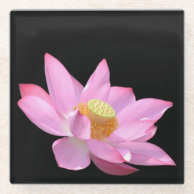 Posavasos De Vidrio Lote (Anverso)