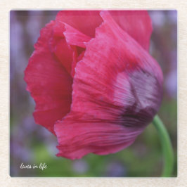 Posavasos De Vidrio Lovely Flor de Amapola Rosa y Morada