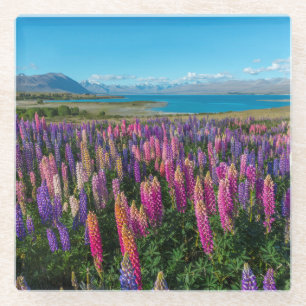 Posavasos De Vidrio Lupines de Russle en el lago Tekapo el Nueva