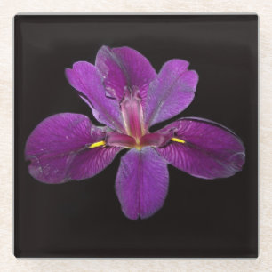 Posavasos De Vidrio Lusiana Black Gamecock Iris Flor Glass