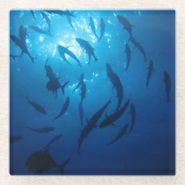 Posavasos De Vidrio Luz del sol debajo del mar