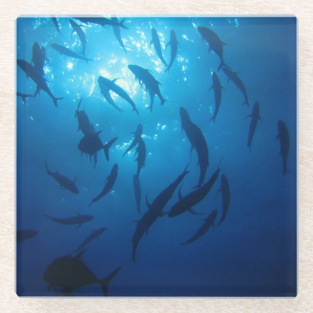 Posavasos De Vidrio Luz del sol debajo del mar (Anverso)