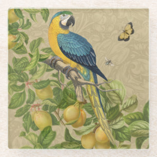 Posavasos De Vidrio Macaw Blue Yellow Tropical Jungle Antigüedad