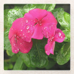Posavasos De Vidrio Macrofotografía con flores de primavera rosada en