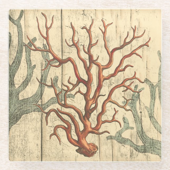 Posavasos De Vidrio Madera y coral pequeño (Anverso)