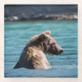 Posavasos De Vidrio Majestic Alaskan Brown Bear