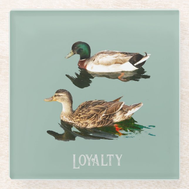 Posavasos De Vidrio Mallas de los Ducks (Anverso)