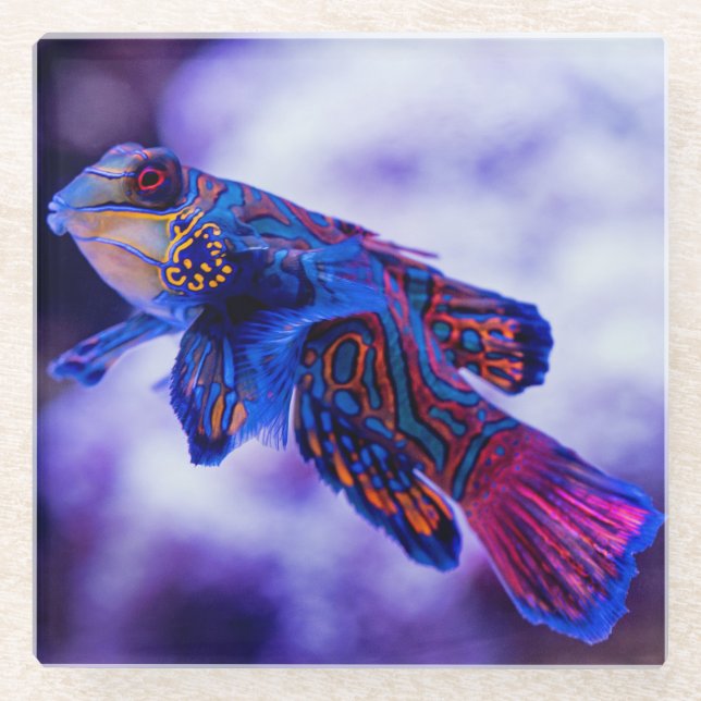 Posavasos De Vidrio Mandarin Goby Fish (Anverso)