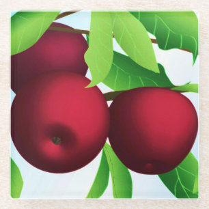 Posavasos De Vidrio "Manzanas en una rama"