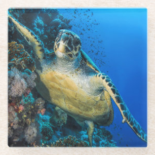 Posavasos De Vidrio Mar Rojo de la tortuga de mar verde el