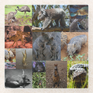 Posavasos De Vidrio Maravillas salvajes: cautivando el Collage de foto