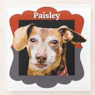 Posavasos De Vidrio Marco fotográfico de patrón personalizado de Dachs