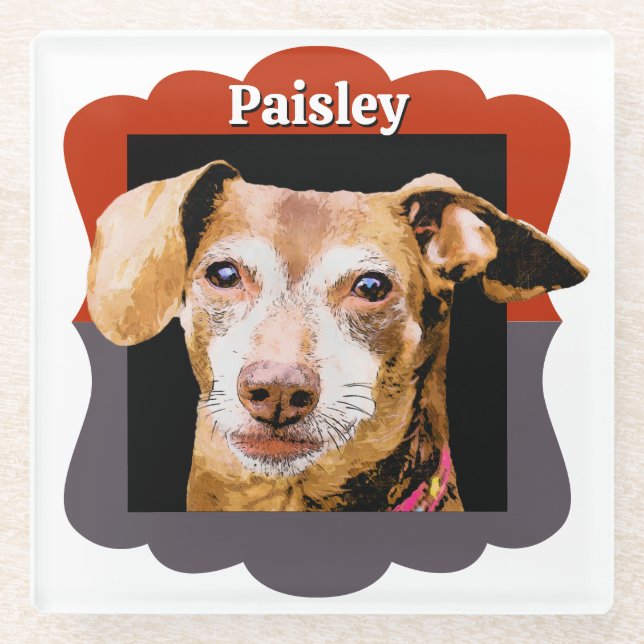 Posavasos De Vidrio Marco fotográfico de patrón personalizado de Dachs (Anverso)