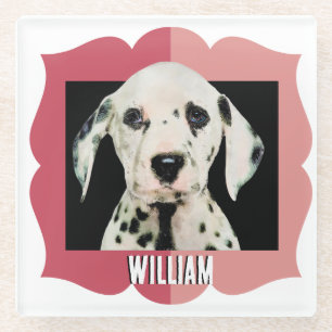 Posavasos De Vidrio Marco fotográfico de patrón personalizado de Dalma